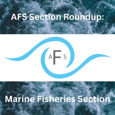 AFS Section Roundup: Marine Fisheries Section AFS Section Roundup: Marine Fisheries Section
