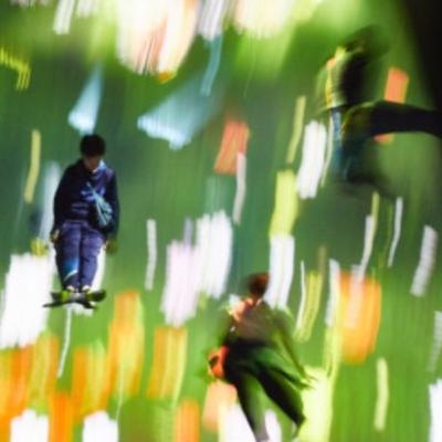 Auburn Tree Poisoning Scandal