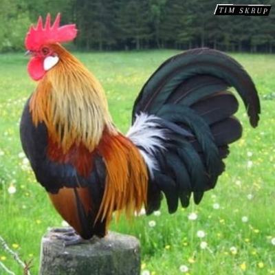 Don't make it stupid people famous! Don't make it stupid people famous!