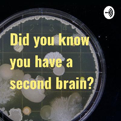 Did you know you have a second brain? Did you know you have a second brain?
