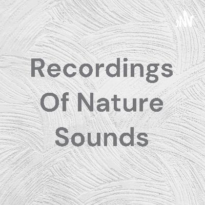 Mountain Sounds