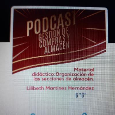 ORGANIZACIÓN DE LAS SECCIONES DE ALMACÉN