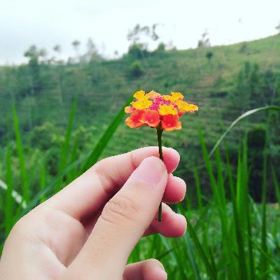 Perkenalan Rahasia