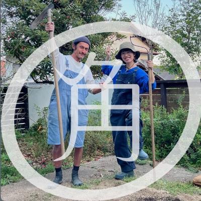 【27杯目】オー角家庭菜園 〜種採り編〜