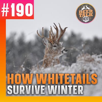 #190: HOW WHITETAILS SURVIVE WINTER with Brad Rucks