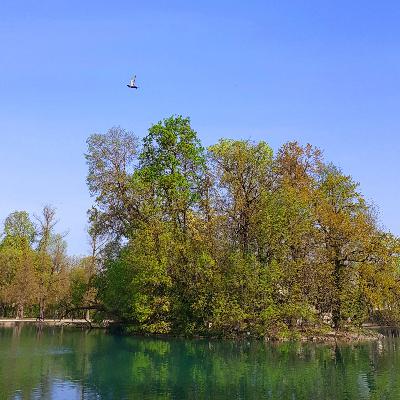 Iubire versus frică!