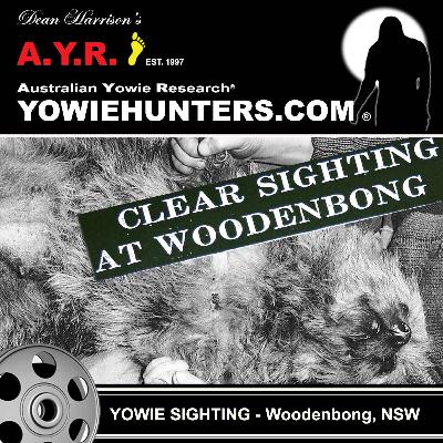 Yowie Sightings at Woodenbong, New South Wales 1977