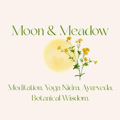 Meditative Morning Musings
