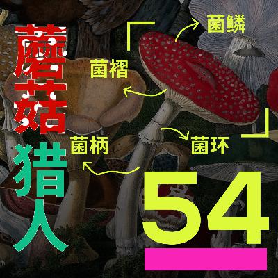 #54 拍拍蘑菇，闻闻泥土，在美国从吃货到蘑菇猎人