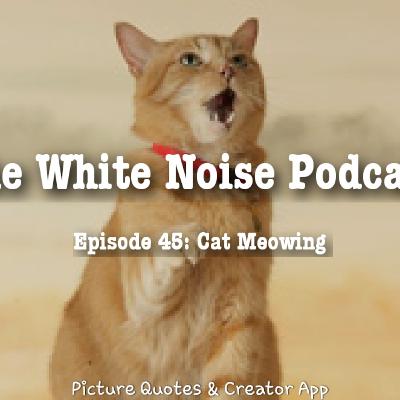 WNP-04X45: Cats Meowing | ASMR RELAX MEDITATE SLEEP
