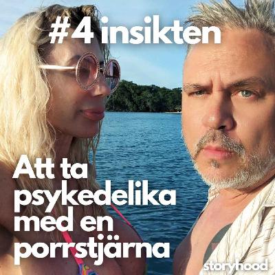 #4 - Insikten #4 - Insikten