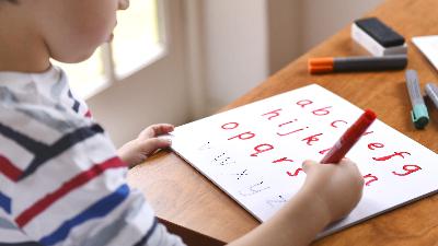 The conversation around English language learners too often dehumanizes them, researcher says