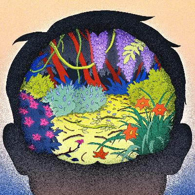 Diary of a teenage brain, part 2 Diary of a teenage brain, part 2