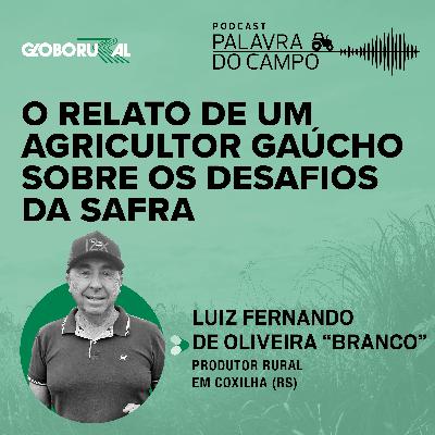 Os desafios do produtor de soja para manter a rentabilidade