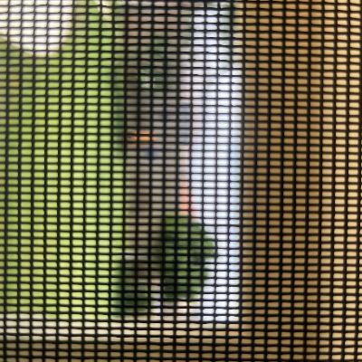 It’s Strictly Politics