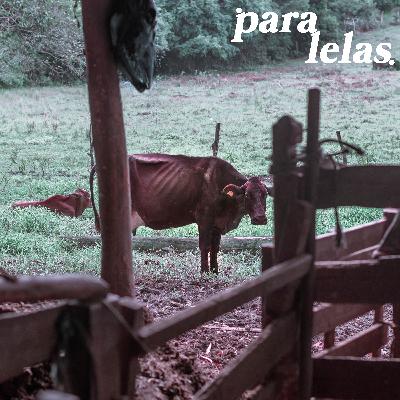 #002 - Boi Neon, Atrás Além e o otimismo