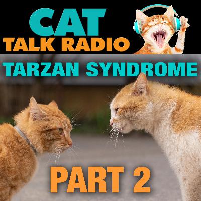 Tarzan Syndrome: Part 2 — Social Rehab That Works Tarzan Syndrome: Part 2 — Social Rehab That Works