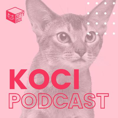 Kitty Box Podcast Odc. 01 Dlaczego koty drapią meble? Kitty Box Podcast Odc. 01 Dlaczego koty drapią meble?