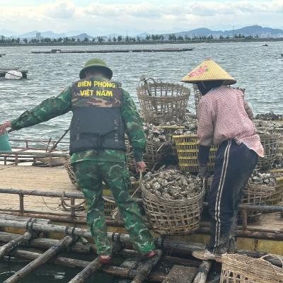 Tin trong nước - Quảng Ninh: Đảm bảo an toàn, đời sống cho người dân tránh trú bão