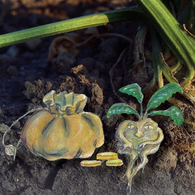 10 Märchen Monat OKTOBER 2024 - Wurzeln