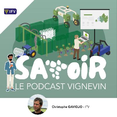 #S2 E10 Viticulture connectée : comprendre les outils numériques d’aujourd’hui et de demain