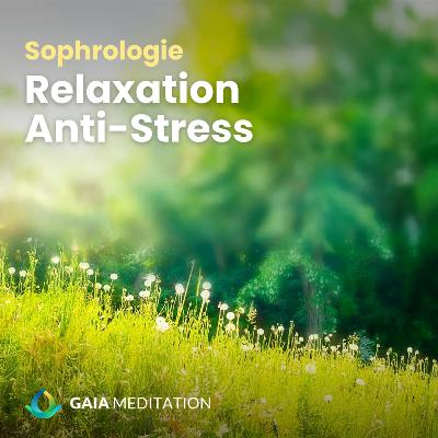 Sophrologie - Relaxation (anti stress)