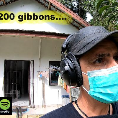 [Ep22] La clinique vétérinaire