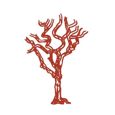 7: Angophora Arts Episode 7 with Letitia Davy 7: Angophora Arts Episode 7 with Letitia Davy
