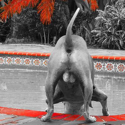 Episode 107:  Names Matter