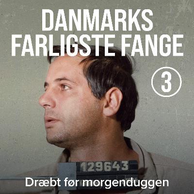 Dræbt før morgenduggen