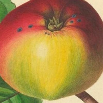 Eps. 7 : Tuhan Aku Mohon