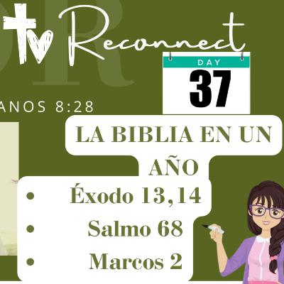LA BIBLIA EN UN AÑO - DÍA 37: DIOS PELEA POR TI, ABRE EL MAR SI ES NECESARIO (Nueva Versión Internacional NVI) - Disconnect to Reconnect - Éxodo, Salmos, Marcos