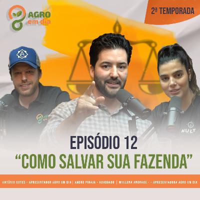 Desapropriação de terras - Como salvar sua fazenda - Agro em Dia #EP012