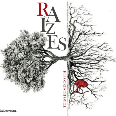 Indutores Orais da Ovulação: pontos importantes