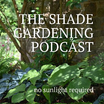 Quiet Water, Wild Life: Building Ponds in Shady Gardens