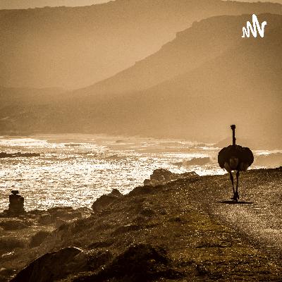 The Reason Behind Wildlife Conservation