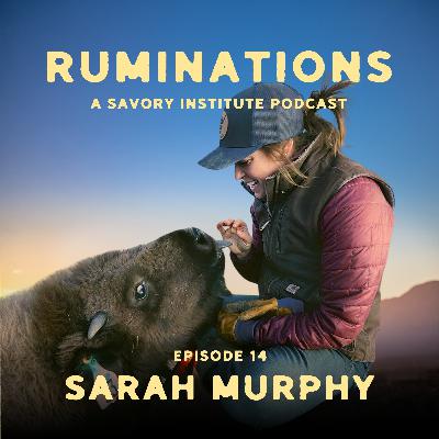 Bison Ranching with No Money, No Land, and No Animals