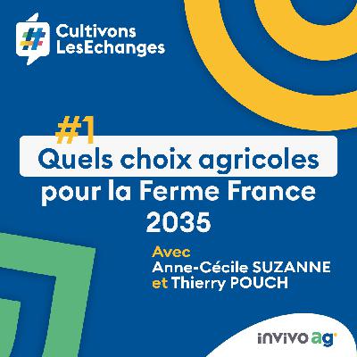 Quels choix agricoles pour la Ferme France 2035 ?