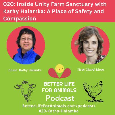 020: Inside Unity Farm Sanctuary with Kathy Halamka: A Place of Safety and Compassion