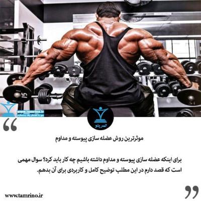 موثرترین روش عضله سازی پیوسته و مداوم چیست؟ (هوش مصنوعی)