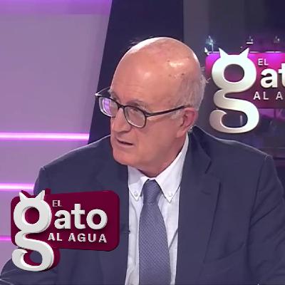 El Gato al Agua | 21/10/25