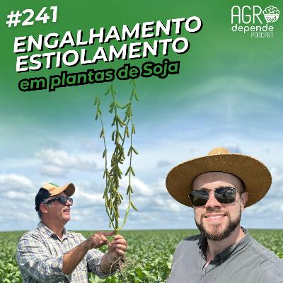 Engalhamento e Estiolamento em Soja: o que você precisa saber pra acertar no manejo (AD241) Engalhamento e Estiolamento em Soja: o que você precisa saber pra acertar no manejo (AD241)