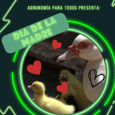Especial día de la madre