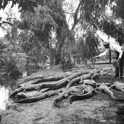 S8 Ep218: SHOW 12-19-25 THE SHOW BEGINS WITH DOUBTS ABOUTGAVIN NNEWSOM  ON THE AMPAIGN TRAIL FOR 2028...  WEST COAST WEATHER AND PORTLAND'S DECLINE Colleague Jeff Bliss, Pacific Watch. Jeff Bliss reports that Nordstrom Rack is leaving downtown Portland, citing high