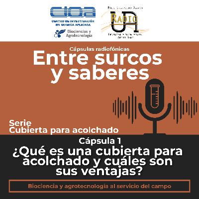 Serie Cubiertas para acolchado: Cápsula 1 - ¿Qué es una cubierta para acolchado y cuáles son sus ventajas?