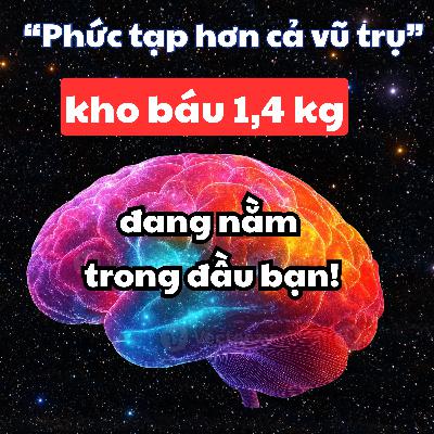 44. Tất cả những gì bạn cần để thay đổi cuộc đời... đang nằm sẵn trong đầu bạn! | Inner World Podcast
