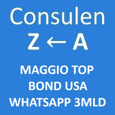 359. Comprare titoli statunitensi? Risposte chiare | Consulenza dalla A alla Z