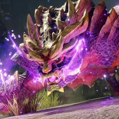 Monster Hunter Rise Part II (New Hunters)