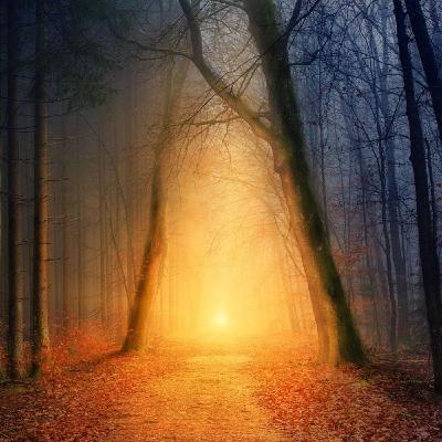 P35 Er zij Licht