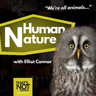 S2E4: Nils Bouillard and Bats
